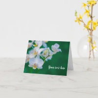 Cartes de vœux vertes avec orchidées blanches