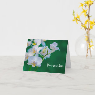 Cartes de vœux vertes avec orchidées blanches
