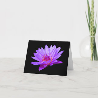 Cartes de vœux vierges avec Lily d'eau pourpre