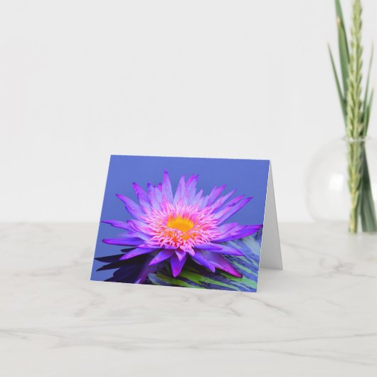 Cartes de vœux vierges avec nénuphar bleu violet (Devant)