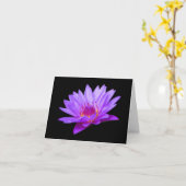 Cartes de vœux vierges avec Nymphéa pourpre (Fleur jaune)