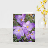 Cartes de vœux vierges Crocus Violet (Fleur jaune)