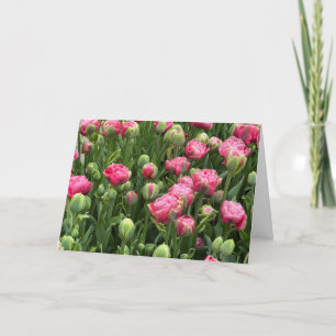Cartes de vœux vierges jonchées de tulipes