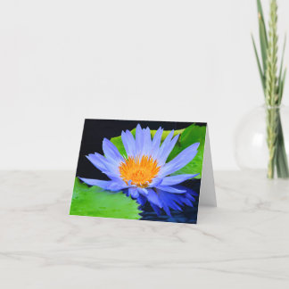 Cartes de vœux vierges Lys d'eau Bleu