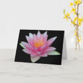 Cartes de vœux vierges Nymphéa (Fleur jaune)