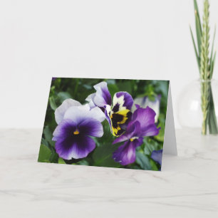 Cartes de voeux Violet