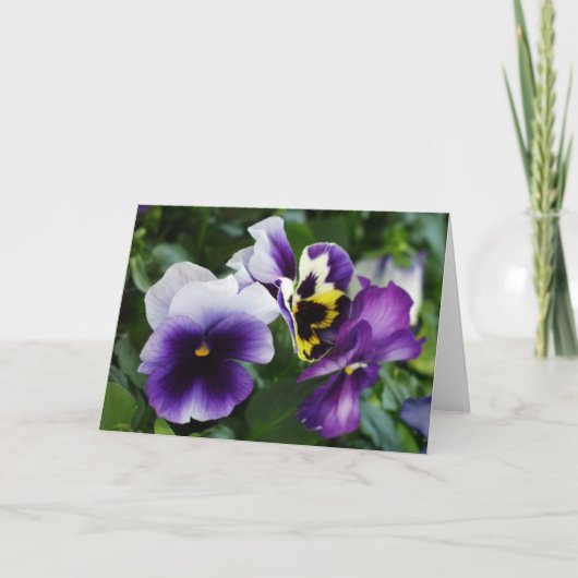 Cartes de voeux Violet (Devant)