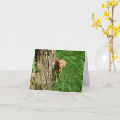 Cartes de voeux Vizsla (Fleur jaune)