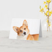 Cartes de voeux Welsh Corgi (Pembroke) (Fleur jaune)