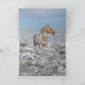 Cartes de voeux Wild Horse (Intérieur)