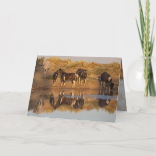 Cartes de voeux Wild Horse - Wild Family at Oasis