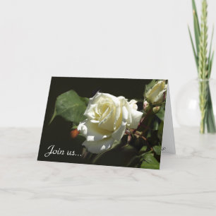 Cartes de voeux Wild White Rose
