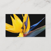 Cartes d'escorte Mariage Bird of Paradise (Dos)