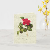 Cartes d'impression botaniques Redoute Red Camelli (Fleur jaune)