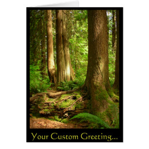 Cartes d'impression de carte vierge de paysage de