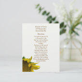 Cartes d'information Sunflower II (Debout devant)