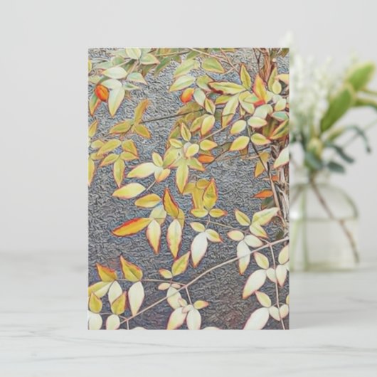 Cartes d'invitation / (Debout devant)