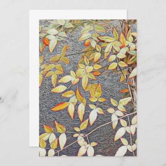 Cartes d'invitation / (Devant / Derrière)