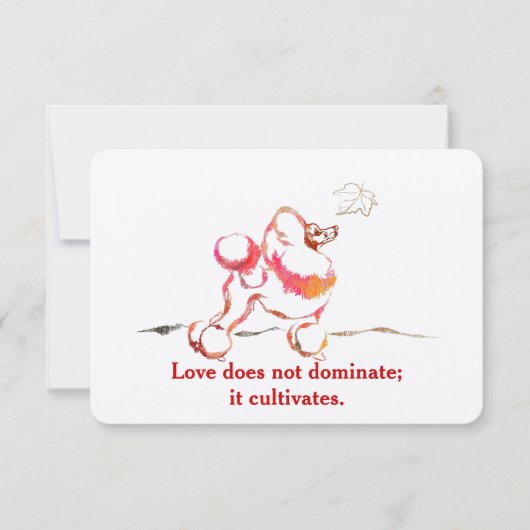 Cartes d'invitation Caniche (Devant)