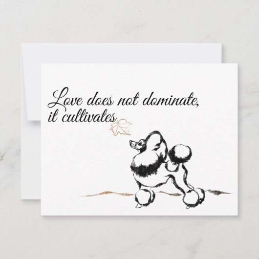 Cartes d'invitation Caniche (Devant)