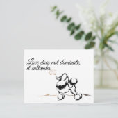 Cartes d'invitation Caniche (Debout devant)