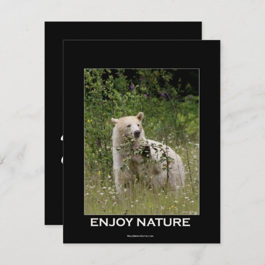 Cartes d'invitation de l'ours (Devant / Derrière)