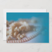 Cartes d'invitation élégantes Shells & Pearls pein (Dos)