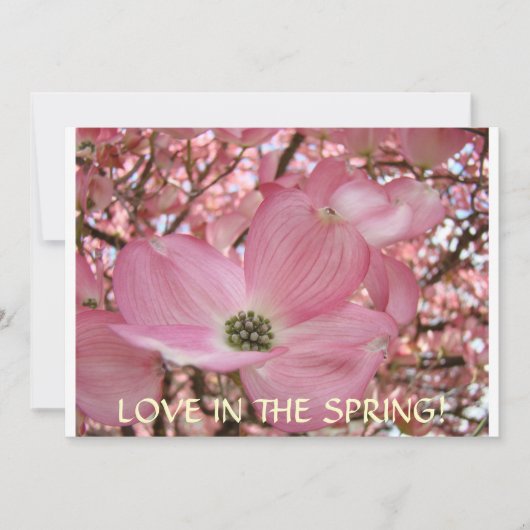 Cartes d'invitation Fleurs de cornouiller (Devant)