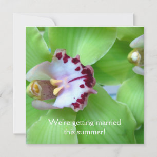 Cartes d'invitation Orchidées Vertes