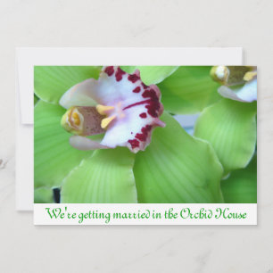 Cartes d'invitation Orchidées Vertes