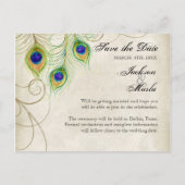 Cartes d'invitation "Peacock Feathers" pour annonc (Dos)