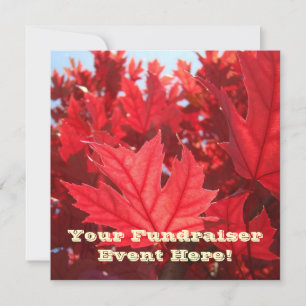 Cartes d'invitation pour collecte de fonds