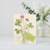 Cartes d'invitation pour dîner botanique Fleur sau (Debout devant)