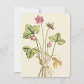 Cartes d'invitation pour dîner botanique Fleur sau (Dos)