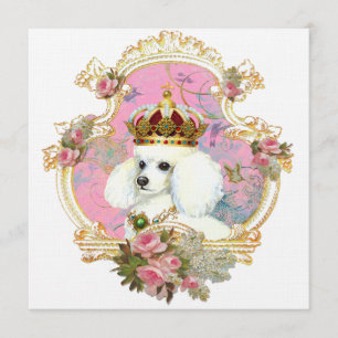 Cartes d'invitation White Poodle Princess