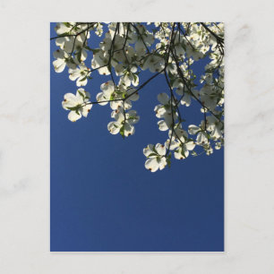 Cartes Dogwood Blossom