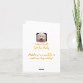 Cartes d'or de regard de griffonnage (Dos)