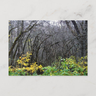 Cartes en bois d'hiver