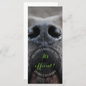 Cartes en rack Dognose (Devant / Derrière)