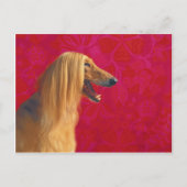 Cartes et GI afghanes (Devant)