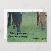 Cartes et timbres de Noël de poneys d'Assateague (Devant / Derrière)