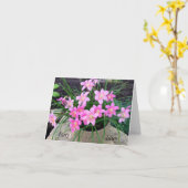 Cartes Fairy Lily (Fleur jaune)