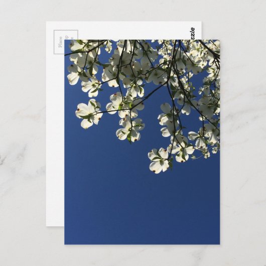 Cartes Fleur de Cornouiller (Devant / Derrière)