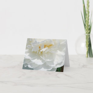 Cartes Floral Rose