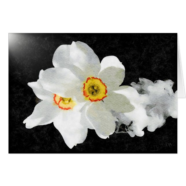 Cartes florales blanches Smokey (Devant horizontal)