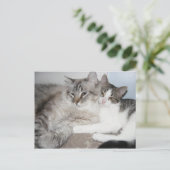 Cartes gâtées en amour Carte (Debout devant)