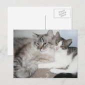 Cartes gâtées en amour Carte (Devant / Derrière)