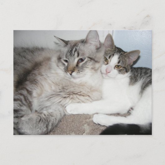 Cartes gâtées en amour Carte (Devant)