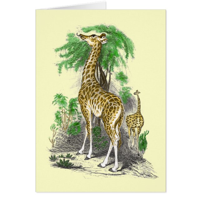 Cartes Giraffe (Devant)