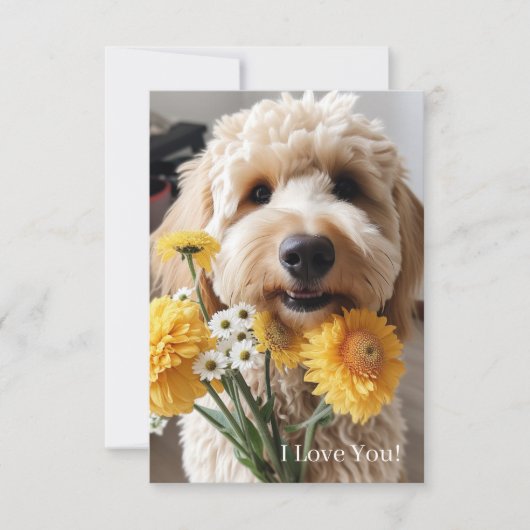 Cartes Goldendoodle (Devant)